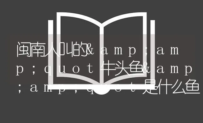 闽南人叫的&quot牛头鱼&quot是什么鱼？ | 鱼类宠物饲养