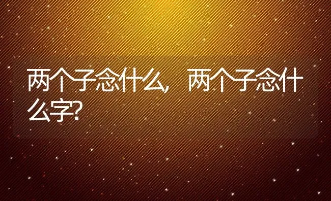 两个子念什么,两个子念什么字? | 宠物百科知识