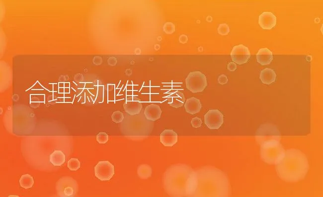 合理添加维生素 | 动物养殖学堂