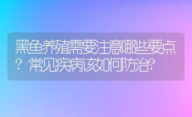 黑鱼养殖需要注意哪些要点?常见疾病该如何防治? | 动物养殖百科