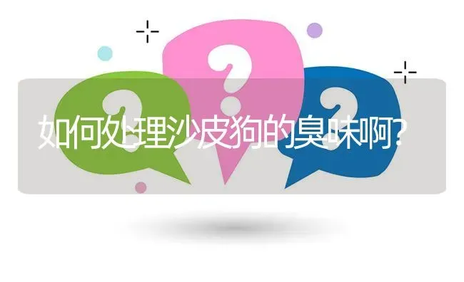 如何处理沙皮狗的臭味啊？ | 动物养殖问答