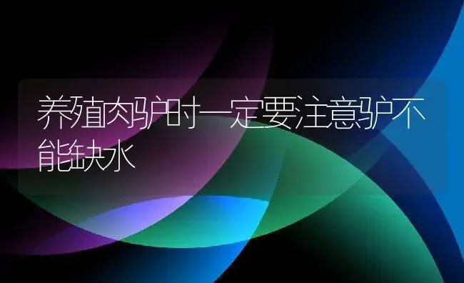 养殖肉驴时一定要注意驴不能缺水 | 动物养殖教程