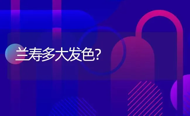 兰寿多大发色？ | 鱼类宠物饲养