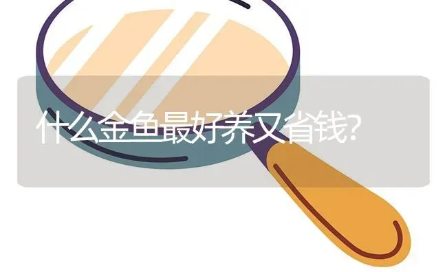 什么金鱼最好养又省钱？ | 鱼类宠物饲养