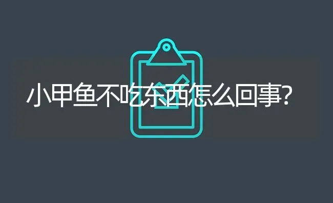 小甲鱼不吃东西怎么回事？ | 鱼类宠物饲养