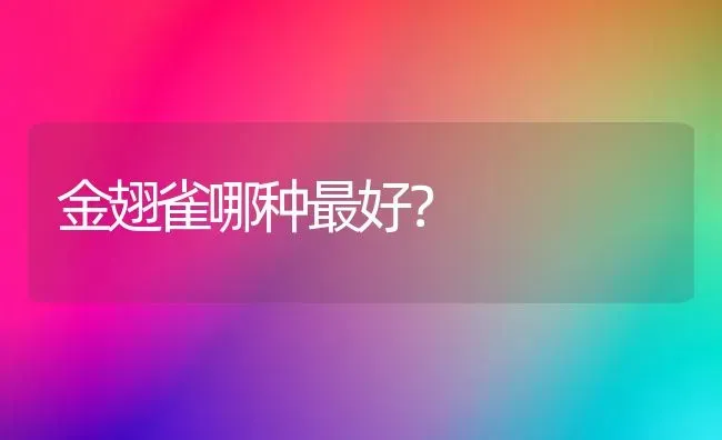 9斤比熊算小吗？ | 动物养殖问答