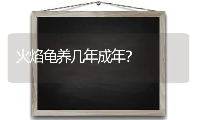 火焰龟养几年成年？ | 动物养殖问答