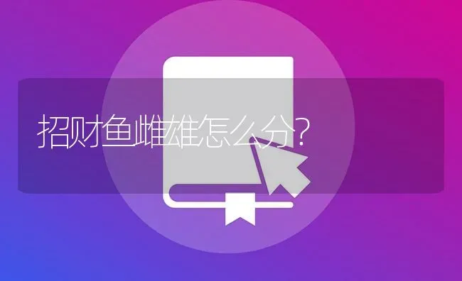 招财鱼雌雄怎么分？ | 鱼类宠物饲养