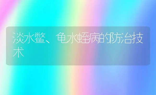 淡水鳖、龟水蛭病的防治技术 | 水产养殖知识