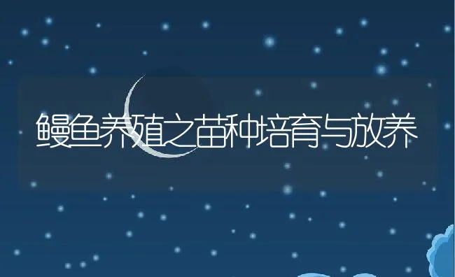 鳗鱼养殖之苗种培育与放养 | 动物养殖饲料