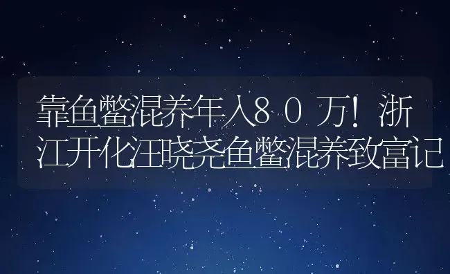 靠鱼鳖混养年入80万！浙江开化汪晓尧鱼鳖混养致富记 | 动物养殖百科