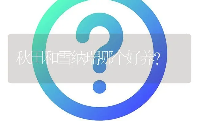 秋田和雪纳瑞哪个好养？ | 动物养殖问答