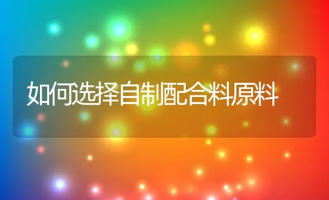 如何选择自制配合料原料 | 动物养殖学堂