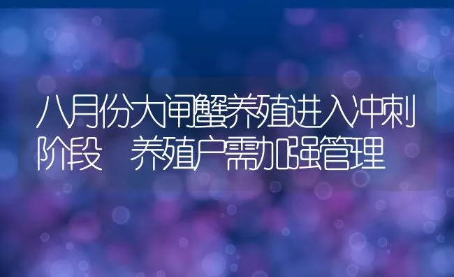 八月份大闸蟹养殖进入冲刺阶段 养殖户需加强管理 | 动物养殖饲料