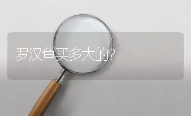 罗汉鱼买多大的？ | 鱼类宠物饲养