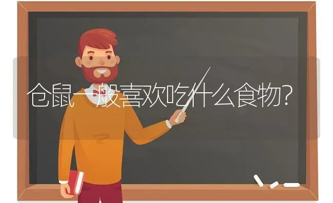 三个月的比熊，狗粮一餐该喂几粒啊！一天隔多久喂一次？ | 动物养殖问答