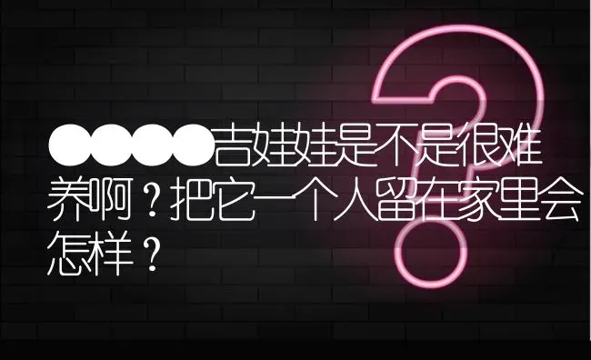 ●●●●吉娃娃是不是很难养啊？把它一个人留在家里会怎样？ | 动物养殖问答