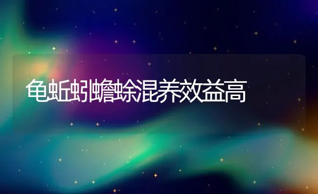 龟蚯蚓蟾蜍混养效益高 | 动物养殖饲料