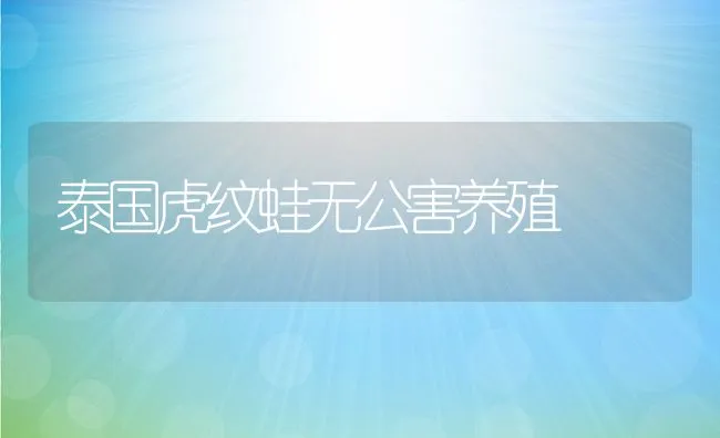 泰国虎纹蛙无公害养殖 | 动物养殖饲料