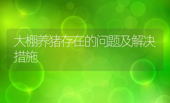 大棚养猪存在的问题及解决措施 | 动物养殖学堂