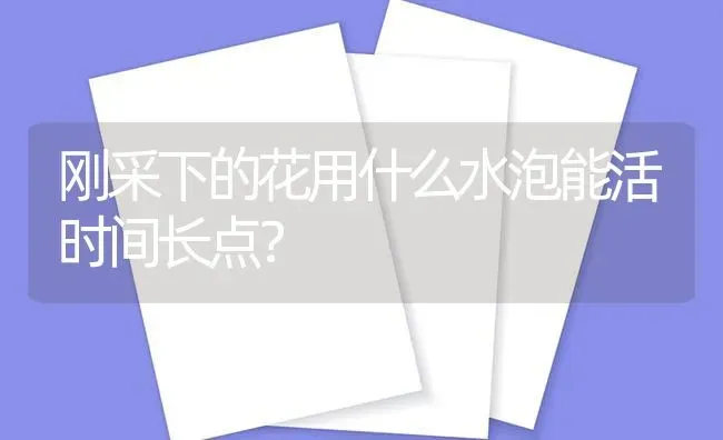 刚采下的花用什么水泡能活时间长点？ | 鱼类宠物饲养