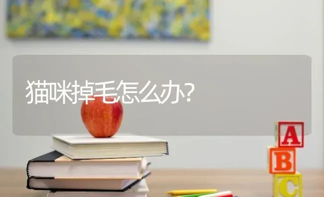 二哈的眼睛大不大？ | 动物养殖问答