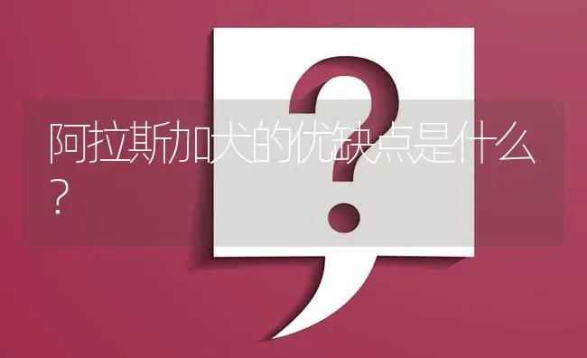 阿拉斯加犬的优缺点是什么？ | 动物养殖问答