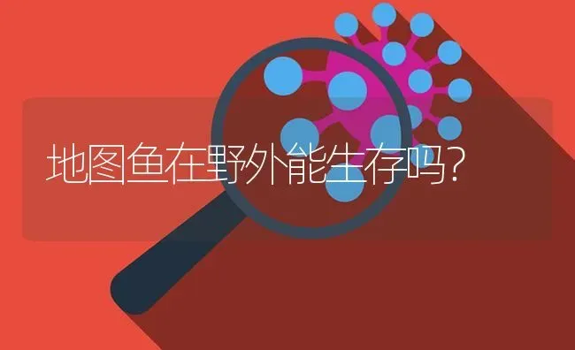 地图鱼在野外能生存吗？ | 鱼类宠物饲养