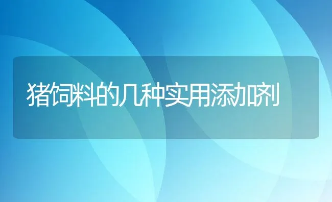 猪饲料的几种实用添加剂 | 动物养殖饲料