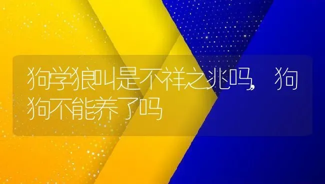 狗学狼叫是不祥之兆吗,狗狗不能养了吗 | 宠物百科知识