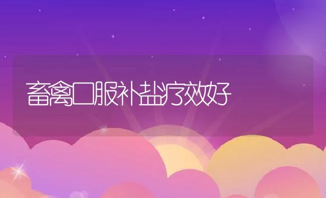 畜禽口服补盐疗效好 | 动物养殖饲料