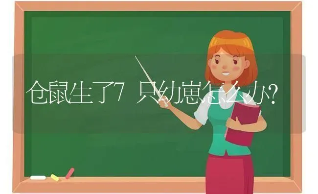 仓鼠生了7只幼崽怎么办？ | 动物养殖问答