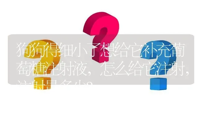 狗狗得细小了想给它补充葡萄糖注射液，怎么给它注射，注射量多少？ | 动物养殖问答