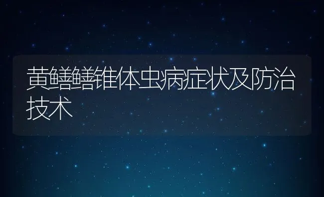 黄鳝鳝锥体虫病症状及防治技术 | 水产养殖知识