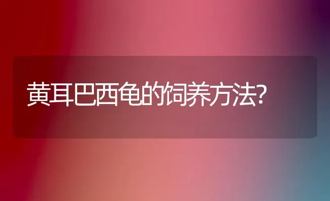 黄耳巴西龟的饲养方法？ | 动物养殖问答