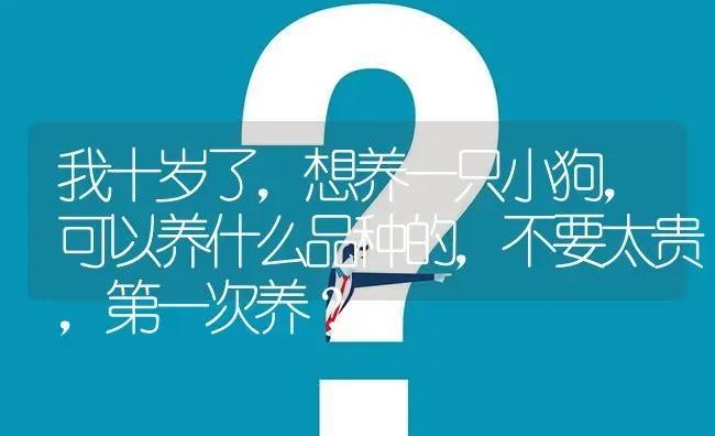 我十岁了，想养一只小狗，可以养什么品种的，不要太贵，第一次养？ | 动物养殖问答