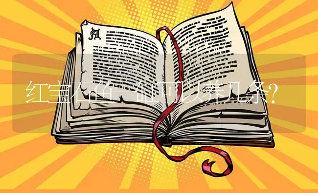 红宝石鱼一缸可以养几条？ | 鱼类宠物饲养