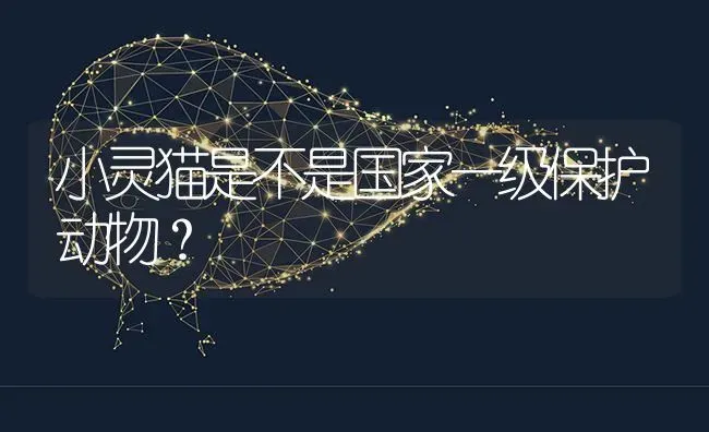 小灵猫是不是国家一级保护动物？ | 动物养殖问答