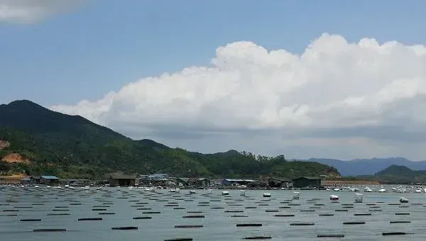 海参怎么养