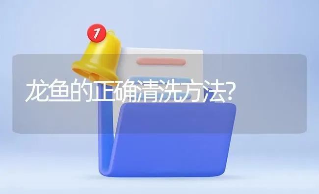 龙鱼的正确清洗方法？ | 鱼类宠物饲养