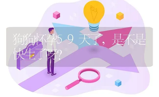 狗狗怀孕59天了，是不是快生了呀？ | 动物养殖问答