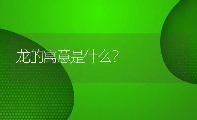 龙的寓意是什么？ | 鱼类宠物饲养