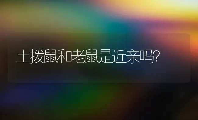 土拨鼠和老鼠是近亲吗？ | 动物养殖问答