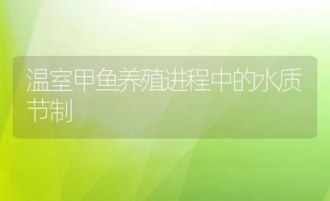 温室甲鱼养殖进程中的水质节制 | 动物养殖饲料