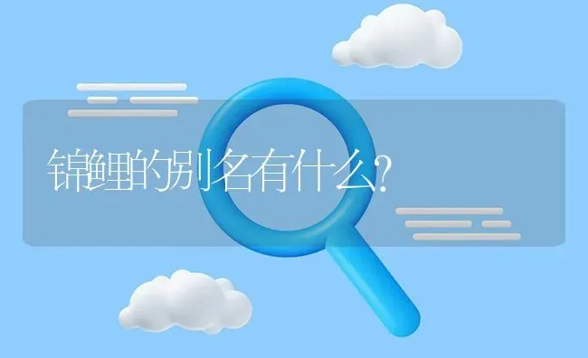 锦鲤的别名有什么？ | 鱼类宠物饲养