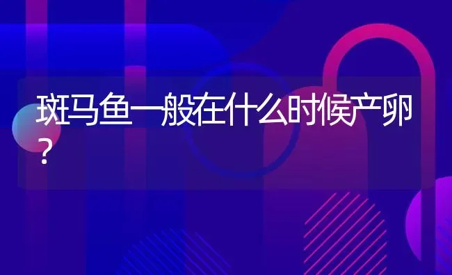 斑马鱼一般在什么时候产卵？ | 鱼类宠物饲养