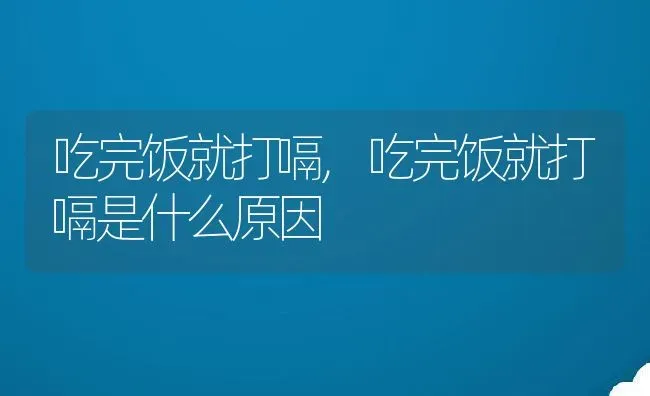 吃完饭就打嗝,吃完饭就打嗝是什么原因 | 宠物百科知识