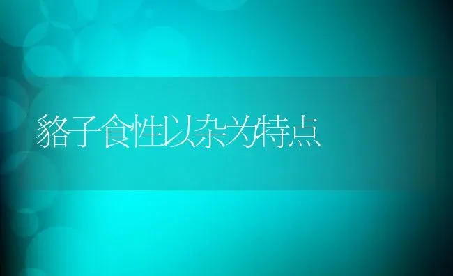 貉子食性以杂为特点 | 动物养殖百科