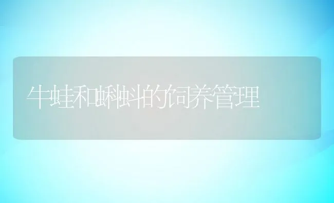 巧改水质助水产养殖增收 | 海水养殖技术