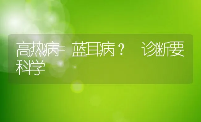 高热病=蓝耳病？ 诊断要科学 | 动物养殖学堂